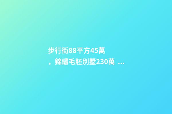 步行街88平方45萬，錦繡毛胚別墅230萬，城南自建房273平帶院165萬